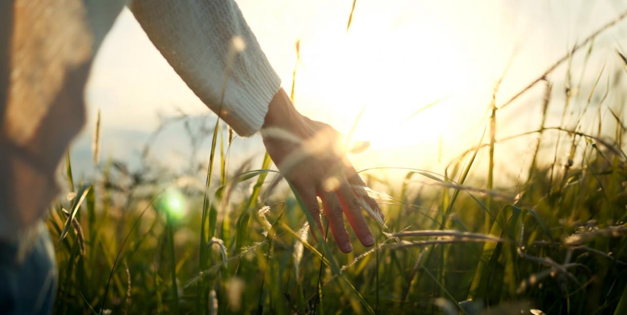 Domaine Les Étangs de la Bassée