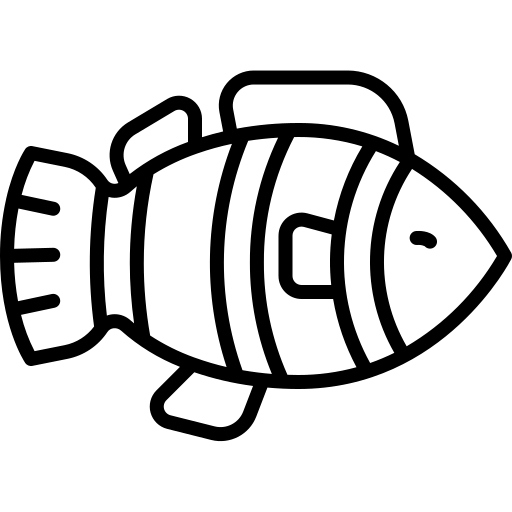  Pêche Autorisée dans les zones réservées, mais non surveillée