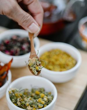 Domaine Les Étangs de la Bassée