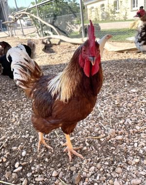 Domaine Les Étangs de la Bassée