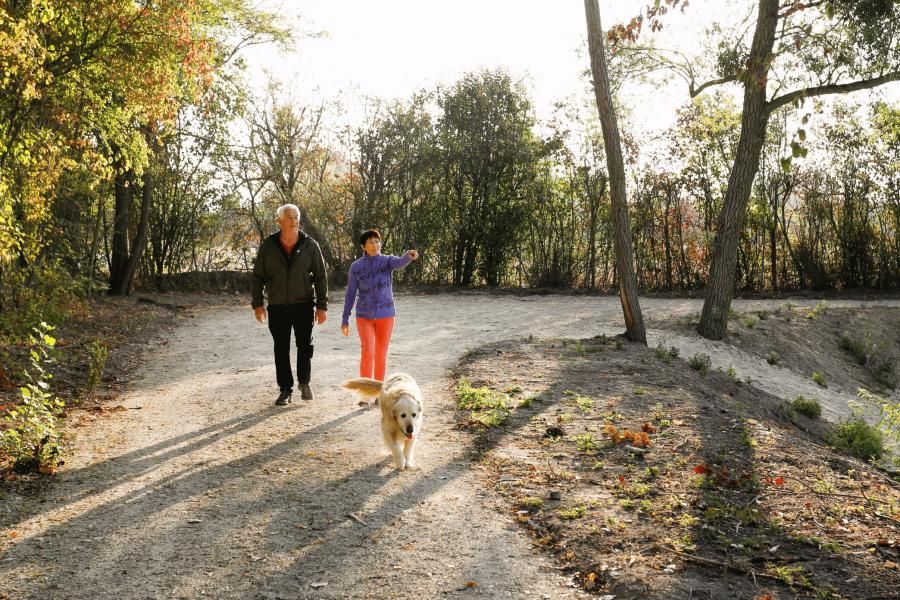 Etangs de la Bassée - Jurassicbark