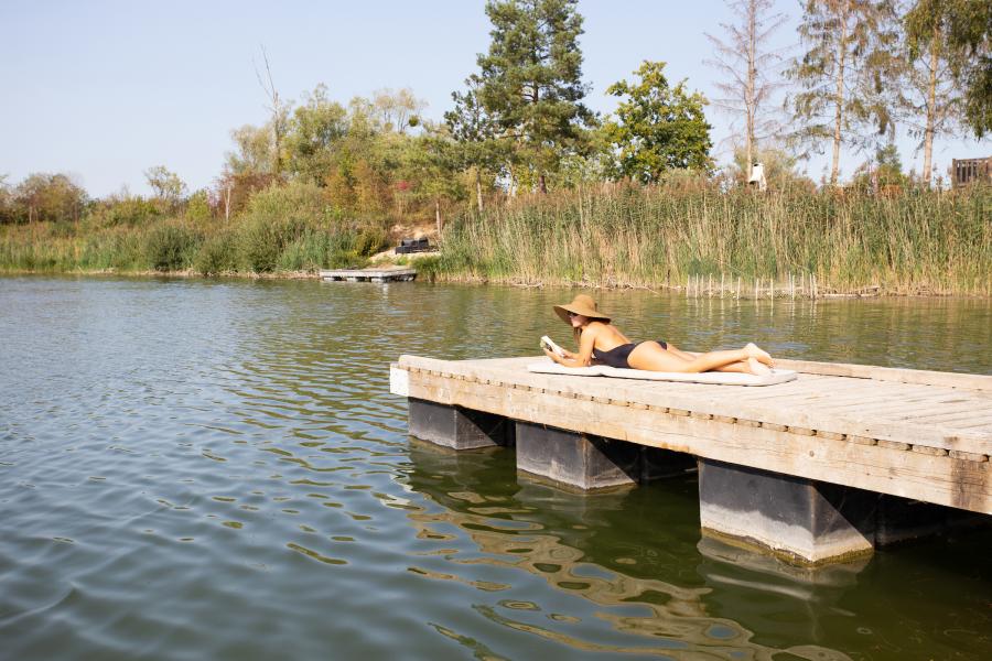 Etangs de la Bassée - The property