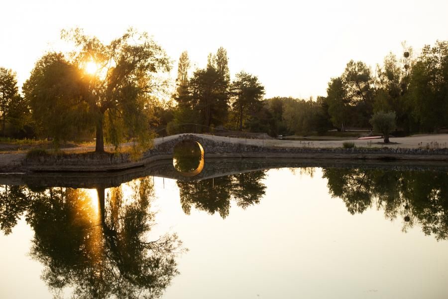 Etangs de la Bassée - The property