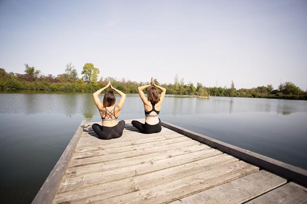 Etangs de la Bassée - The Property