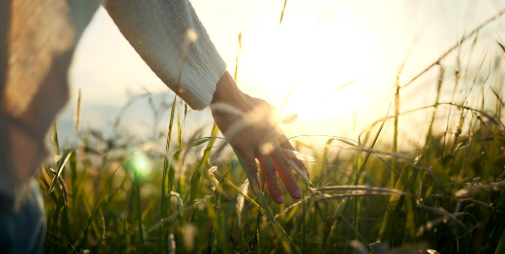 Domaine Les Étangs de la Bassée